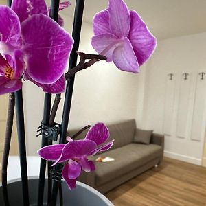 Suite executive
